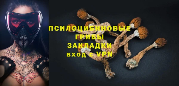соль ск Алексеевка