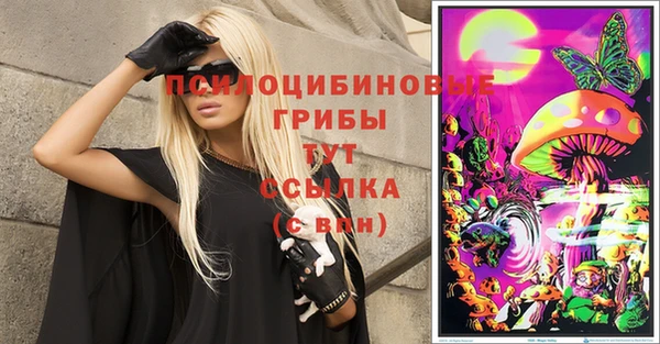 гашик Алзамай