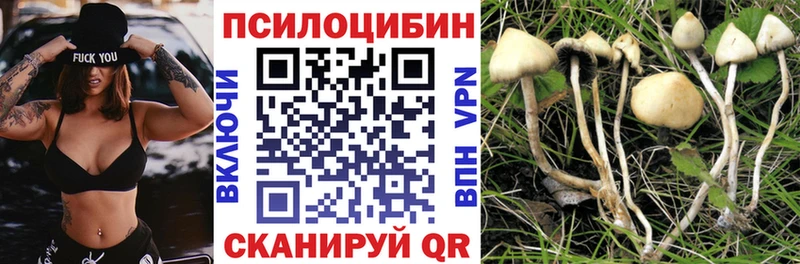 наркошоп  Йошкар-Ола  Галлюциногенные грибы Psilocybine cubensis 