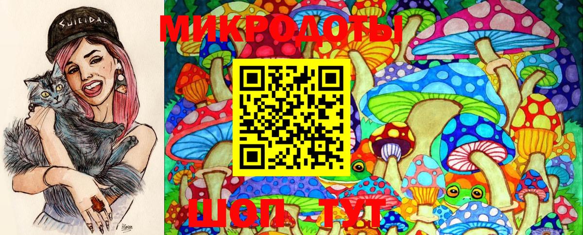 Псилоцибиновые грибы Psilocybine cubensis Йошкар-Ола